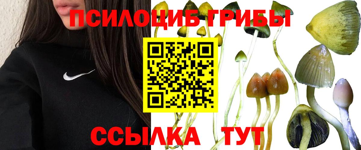 Галлюциногенные грибы MAGIC MUSHROOMS Асино