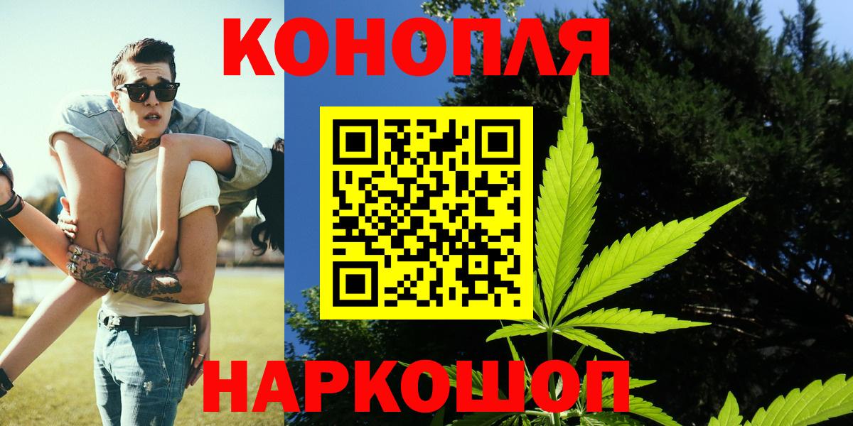 Асино  Конопля план  Вход с VPN  Конопля гибрид  Каннабис тримм 